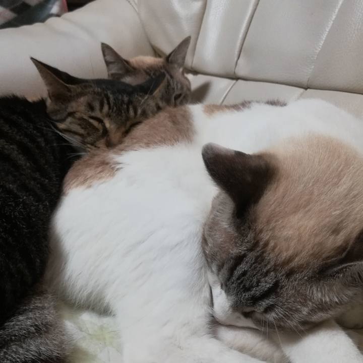 2bc250e2 636b 4d11 9468 ee1eeb09a1bd 1569322670660