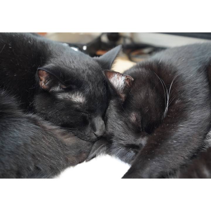 2bc28558 6f8c 4ba5 9059 b5e2b7a1329c 1625143614741