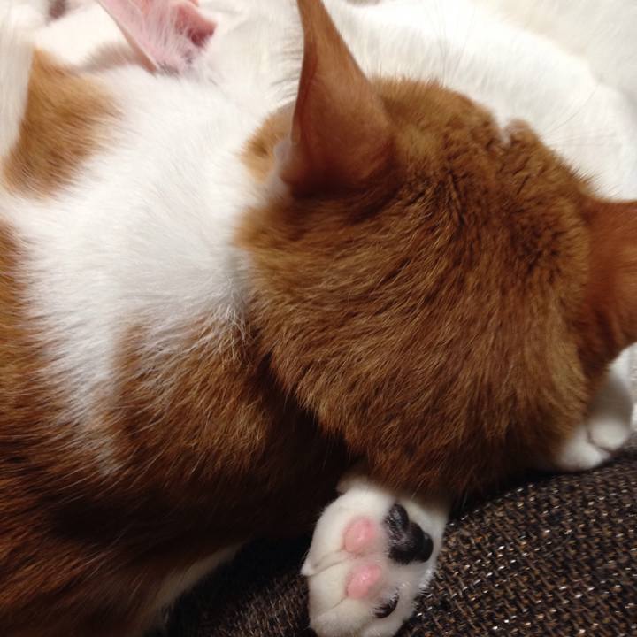 2bc287ee 5c37 4e4e 976e bc06578cc9ae 1509112432898