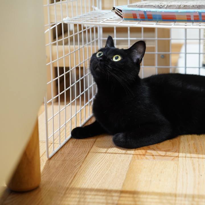 2bc2cec8 9bb1 4367 aaf5 4ff2c7eb1f68 1567035376768