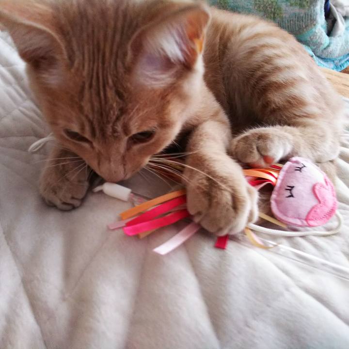 2bc2dcb6 2b3e 40f5 9ab0 8d8f96c66121 1543616206282