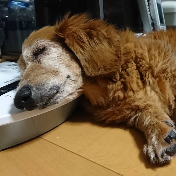 2bc31076 1852 447b 8cd8 96531903387a 1597190000736