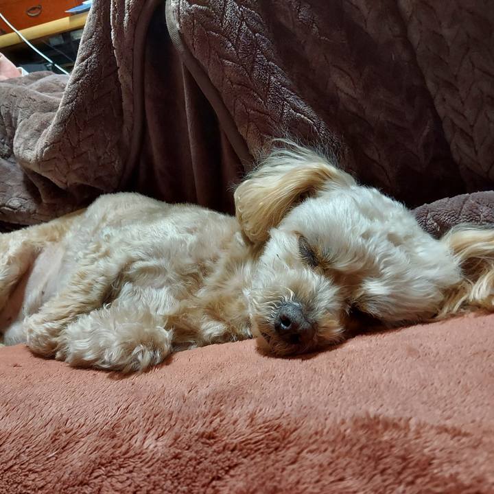 2bc3152b 78dd 4c2f 8312 5ffc17f41dbf 1646546609498