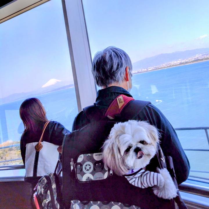 2bc34dcc 87f7 4386 ba50 405cf37e8967 1679369879749