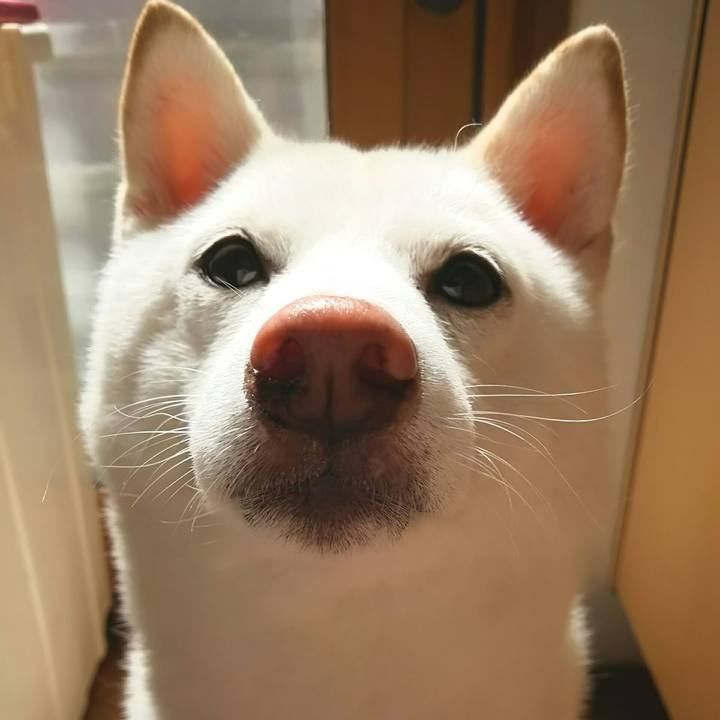 2bc35eb6 5790 4c8f 9b80 be670d09a0e6 1598748882215