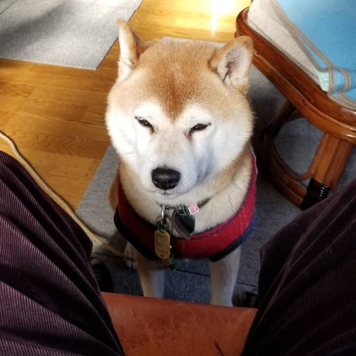 2bc379dd 4c31 4a3f 93c9 3e7ab5775dde 1609905203572