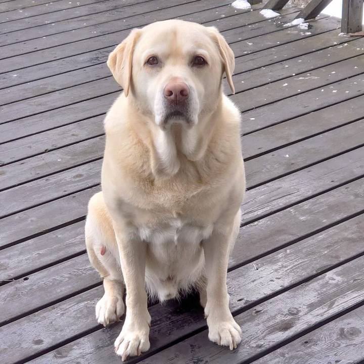 2bc37e9b cc30 4a83 a7f0 edfe31f8addb 1707957186383