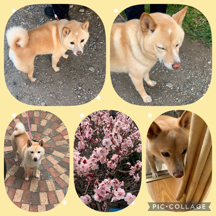 2bc3951f 1542 4659 ad4f 01619c0bdb5f 1647130469497