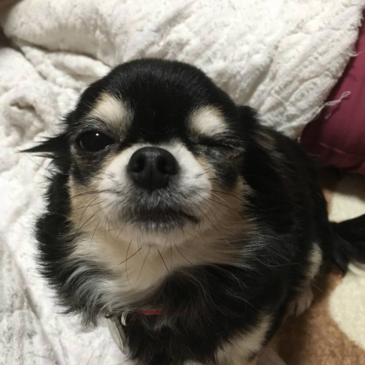 2bc39728 43db 4a49 af5e 0b1044e998b6 1511933814520