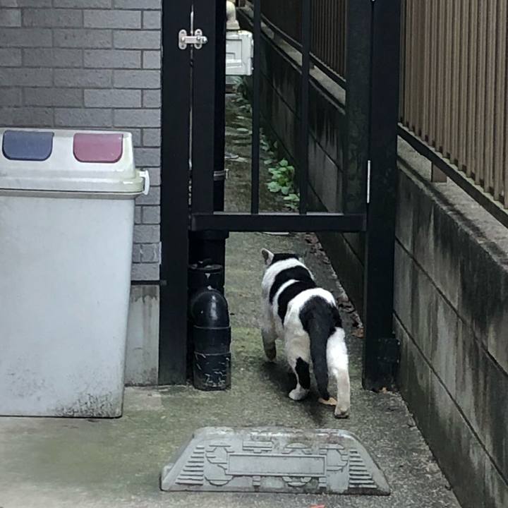 2bc39cc6 6e30 4180 8947 64490c51a883 1606144005957