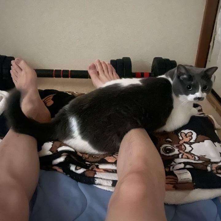 2bc3dd8b 2c85 48b2 9e17 34d15abc727a 1754949973604