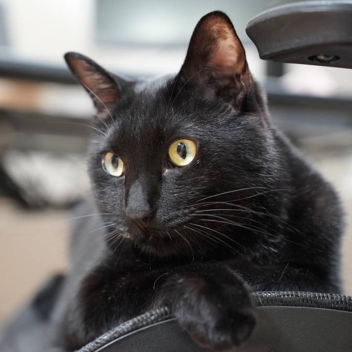 2bc40070 9bcd 46ba b52d d95efceab668 1730681288778