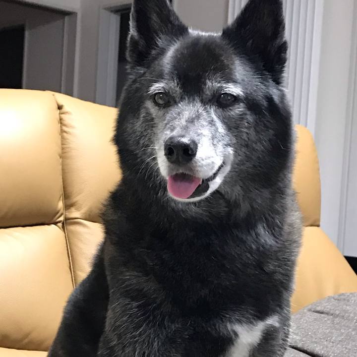 2bc41654 4dfd 45c7 a5ef abb9330e4bbf 1601215130219