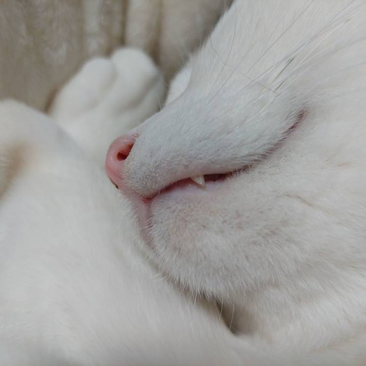 2bc44c4b 0815 4b2f b685 47dc5a5acd5c 1640174726931