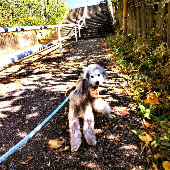 2bc46d2a f202 44f0 80ee e6489d1cd464 1726606875561