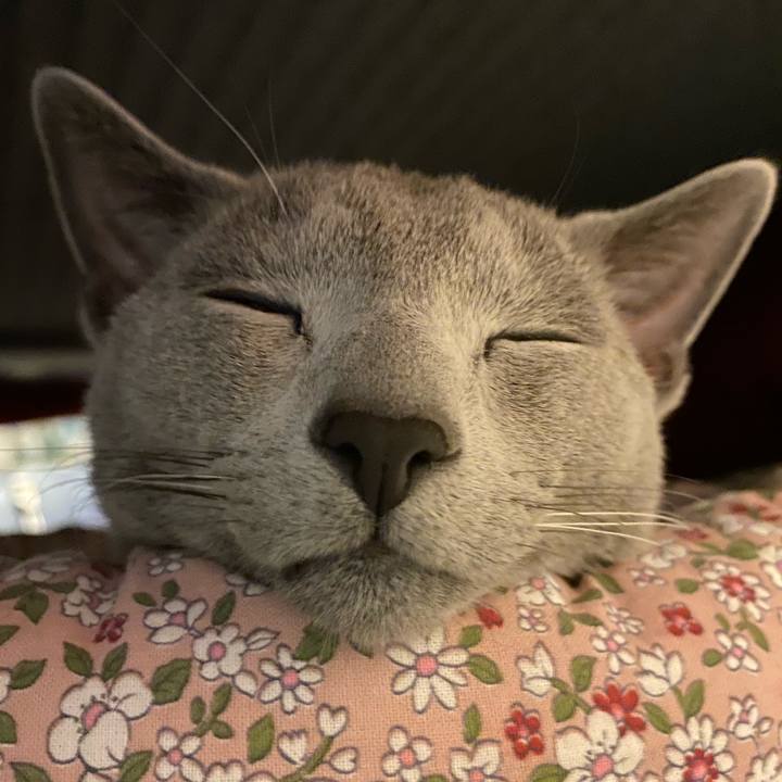 2bc4aab8 8358 4cb7 8df1 e0e274b6ec6d 1615455984533