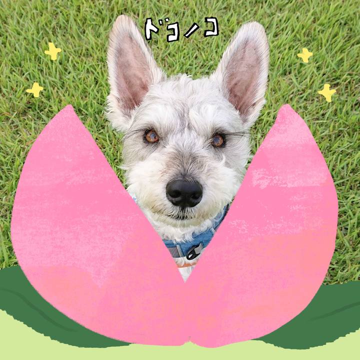 2bc4acfa d5ae 409e bdaa 782a4d30b413 1772493212274