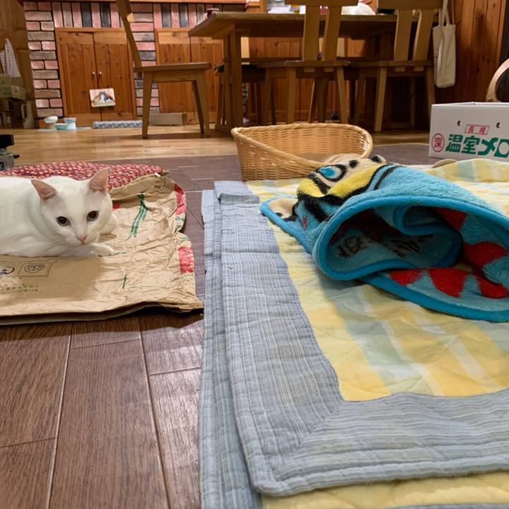 2bc4b682 0faa 4b62 828d 1ebb5a749504 1601599973831