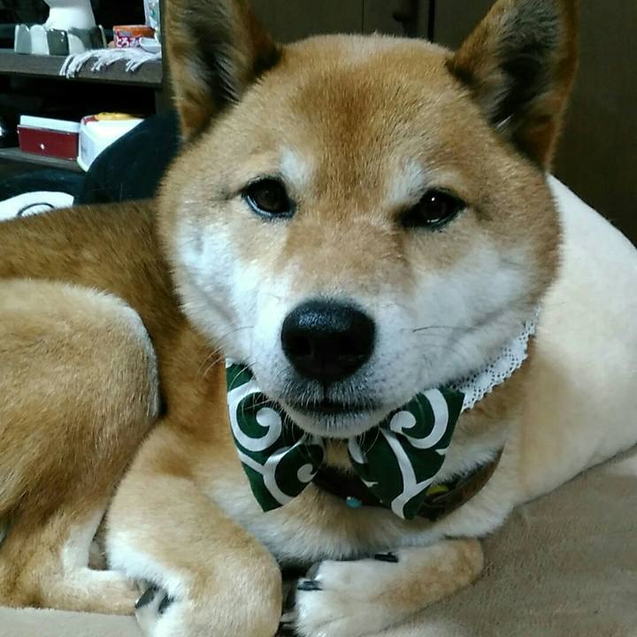 2bc53222 ad1f 4c62 b395 fd4b83abf4c2 1557737539570