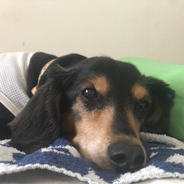 2bc53e66 f850 4c72 b7b2 e440af8390ac 1627020878561