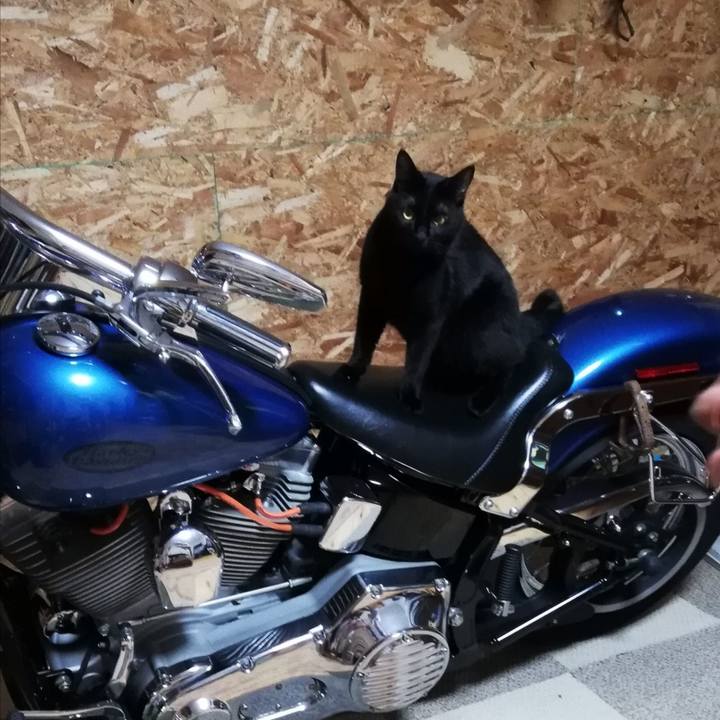 2bc5442a b6e4 40a9 8bec 6cf028950714 1626561053510