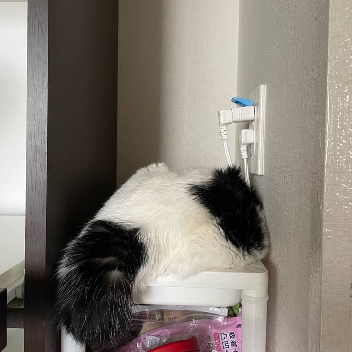 2bc5460c 727a 4284 827e 98bf69f21877 1685331119297