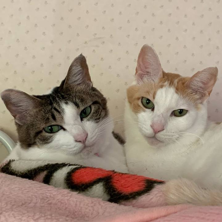 2bc569a0 888a 4b8d 82f2 5739debef004 1606625092091