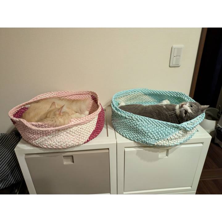 2bc56c32 662f 4a91 9ab7 6a0ca2e1f146 1725890827013