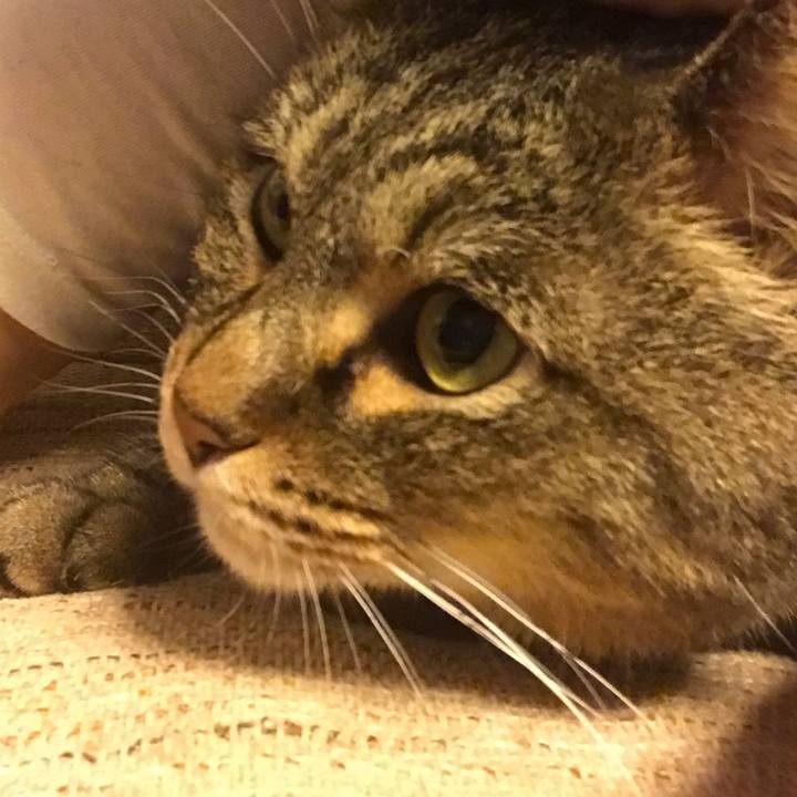 2bc580cb 7828 4991 af0e 261f24991136 1537504223183