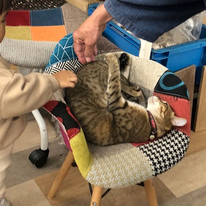 2bc5832f b0e7 4196 a097 832d871959e6 1637550636845