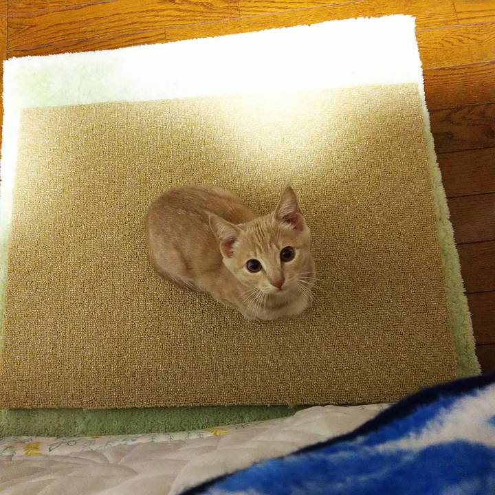 2bc58422 afe7 4728 9c5a fb77ae92f17f 1541584086819