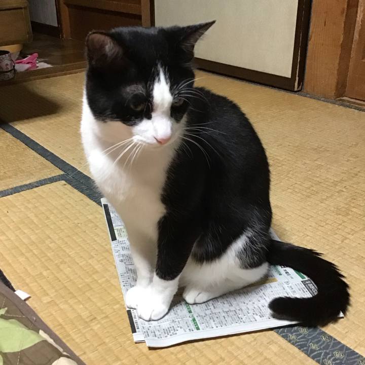 2bc58499 2df3 4b82 b930 c5ae928e25f7 1686228379582