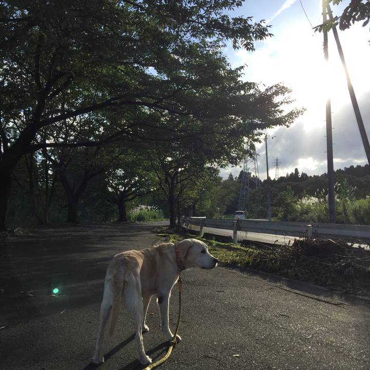 2bc591eb 1e8d 44c9 92cd 63c5a70bd85b 1538467003408