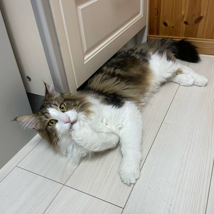 2bc5ac06 97a3 47a2 a36f e3fdbbc52e1e 1644401956762