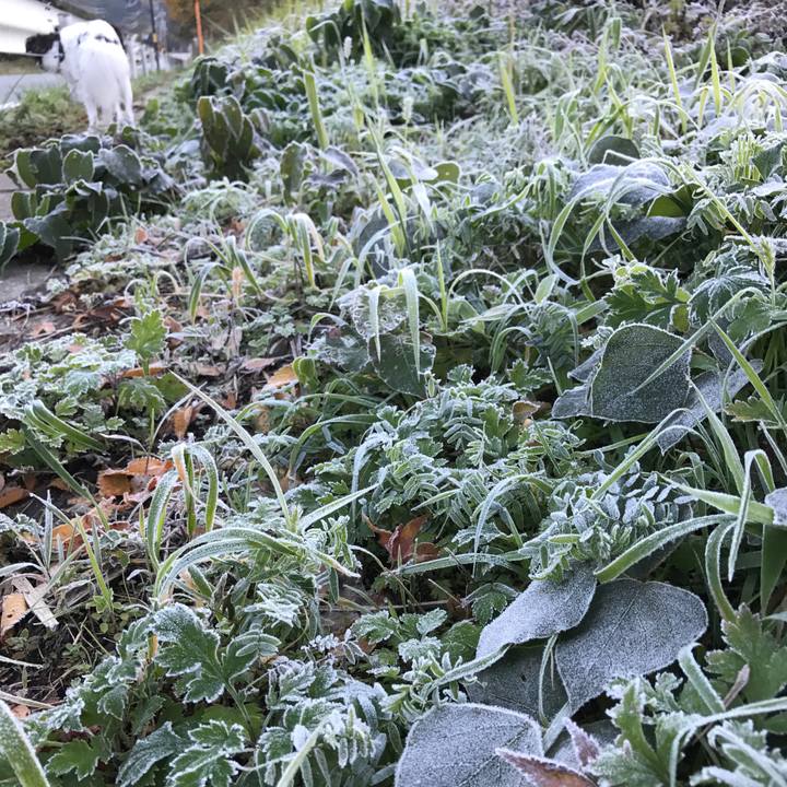 2bc5c40c b688 4b0a a535 2b113c1e3f8a 1509422938012