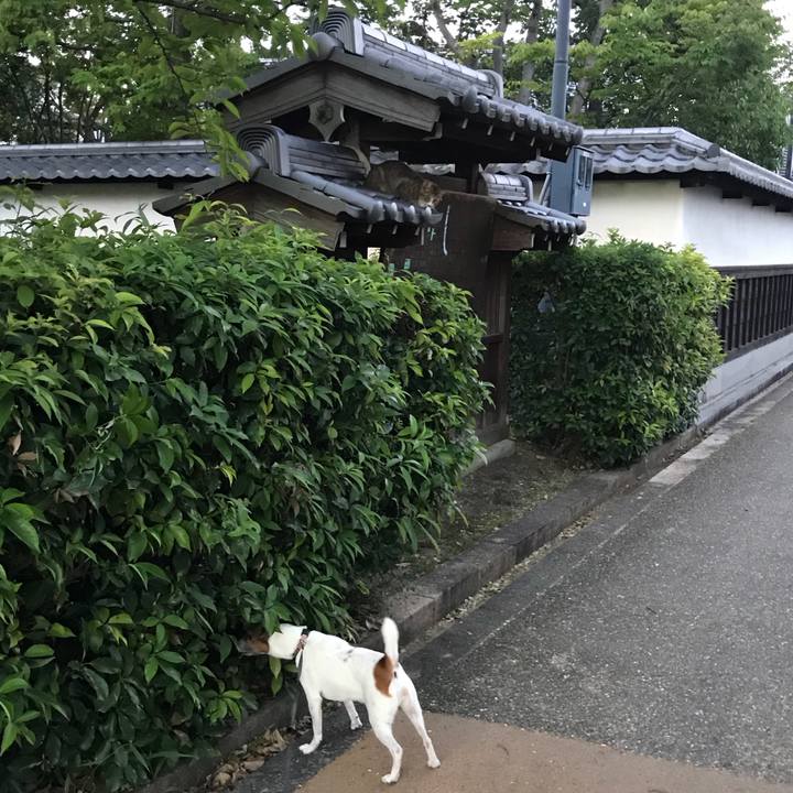 2bc5f99e dea1 4432 a0b9 93d318d4b729 1532866032449