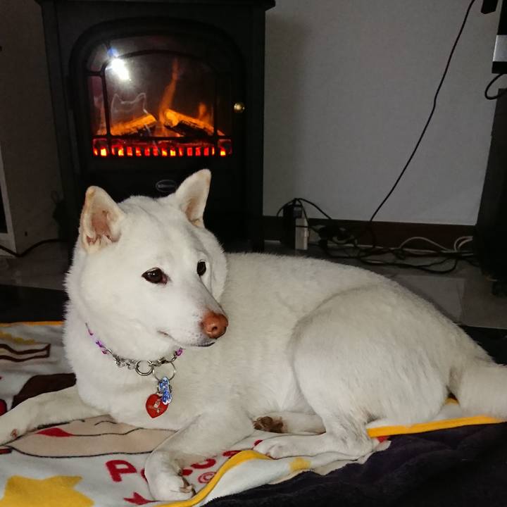 2bc60890 a045 4c83 8256 26b893aeabf6 1543707107664