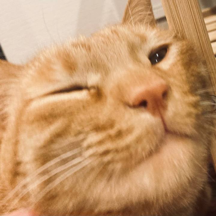 2bc63fc0 9451 4b64 92f6 2d03e633132c 1614253254098