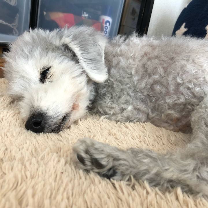 2bc648c7 f46d 4857 984e 7ce81bae263b 1647052420452