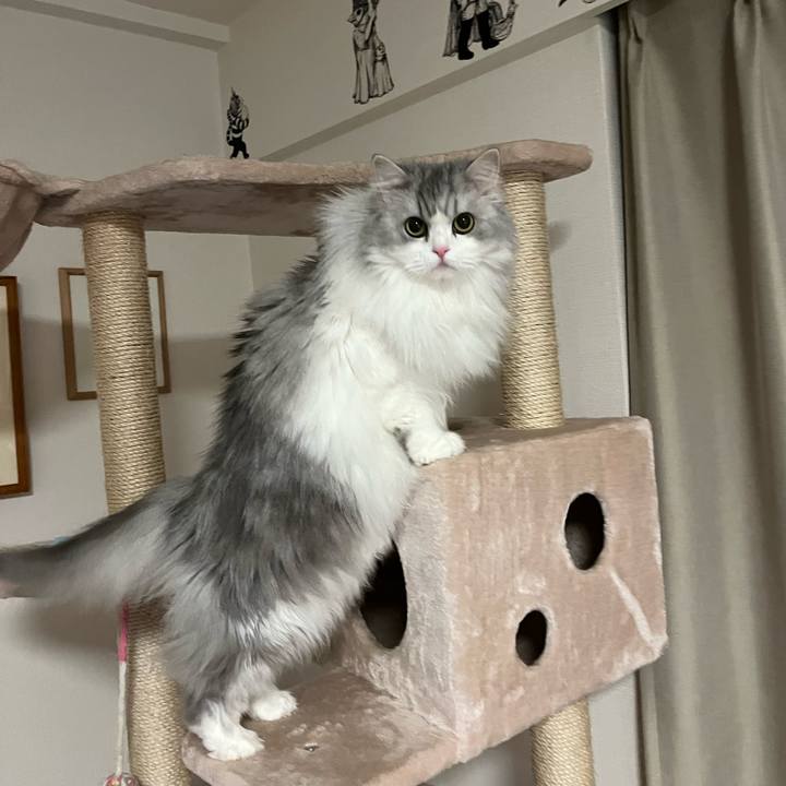 2bc67b73 d435 42eb 8eb3 a9a0c6a7ab80 1675351903426