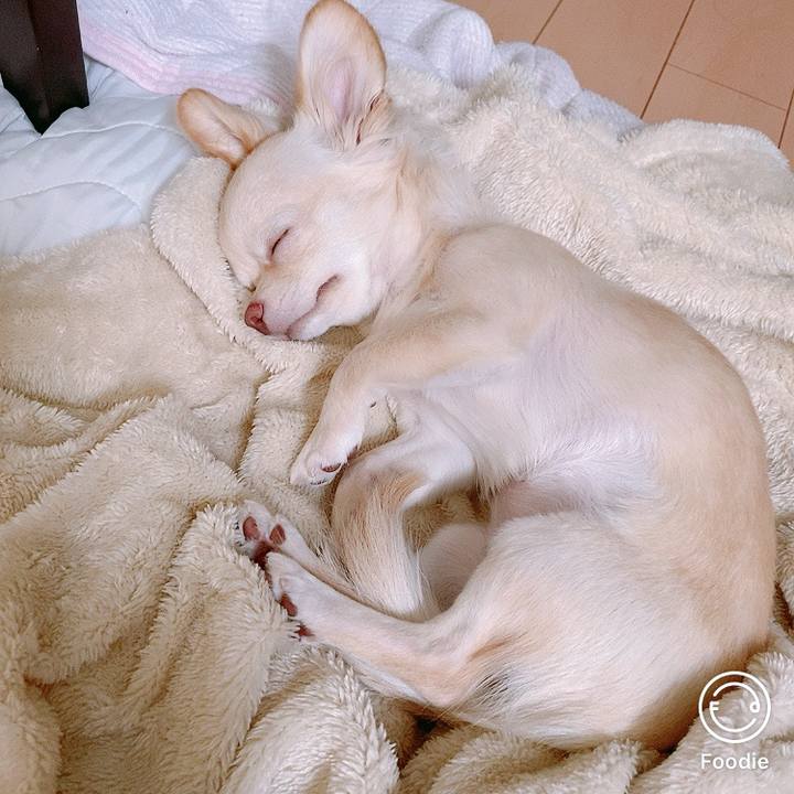 2bc6ea80 5576 4c77 858f a1e6d68a05c7 1602474921846