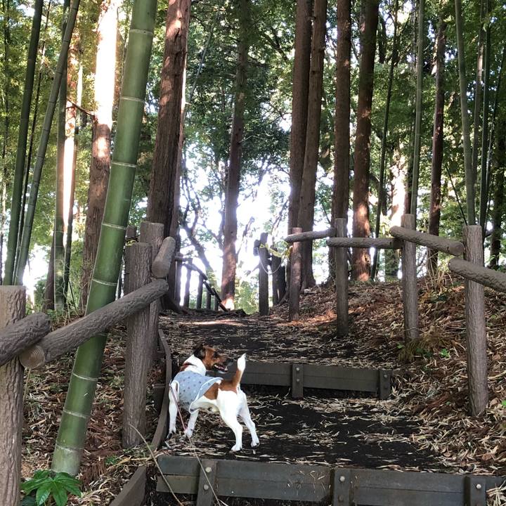 2bc6fbb3 07b4 45ac ae50 2b5eaf0a69a4 1525561404388