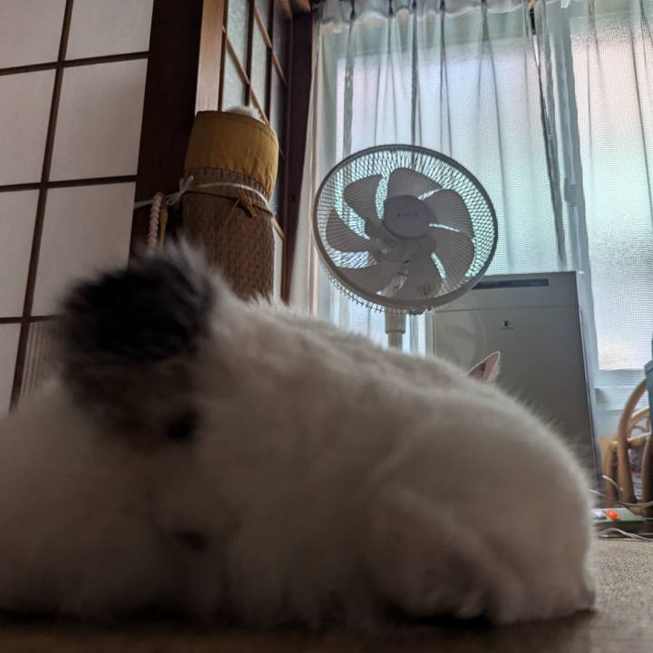 2bc7680b b2eb 482a afdd c82234b5d2cc 1724014803471