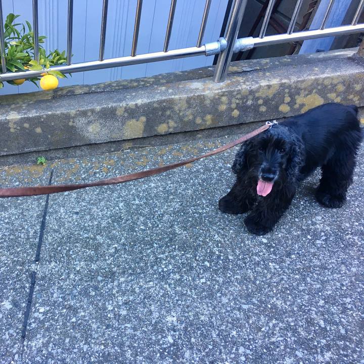 2bc76840 a668 46a7 9087 15a01c452e92 1512556130855