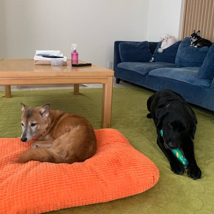 2bc76c82 b3ca 420f 9c92 017778e74cc8 1658628647158