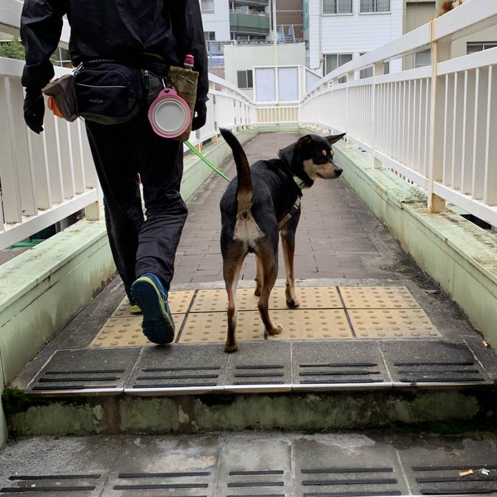 2bc78f80 3324 466c 9d60 809bb3bb03be 1546787632635