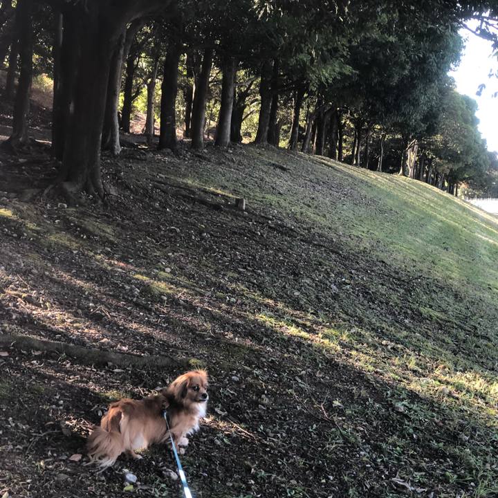 2bc7b7a4 2564 4341 a739 061d9fd801dd 1540687796721