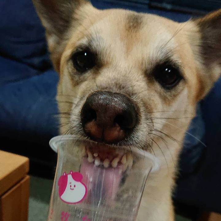 2bc7f75e 4df6 4fbe 9396 a8fec7e577d0 1558499345139