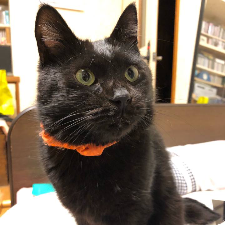 2bc7fc37 4308 4e49 85a1 b661fb312987 1571836136933