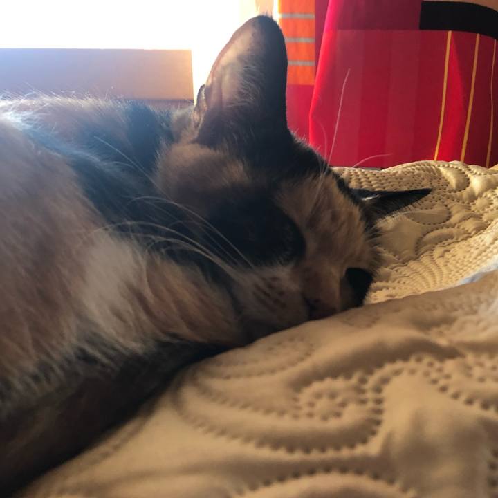 2bc80a41 422c 4653 a1a9 1b128cb884fb 1575095589847